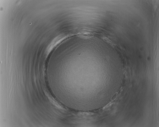 X0000062830242200601271958