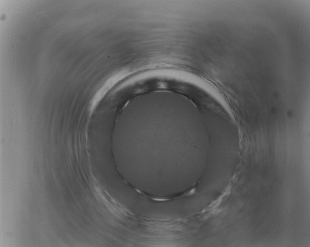 X0000062830244200601271958