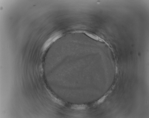 X0000062830245200601271958