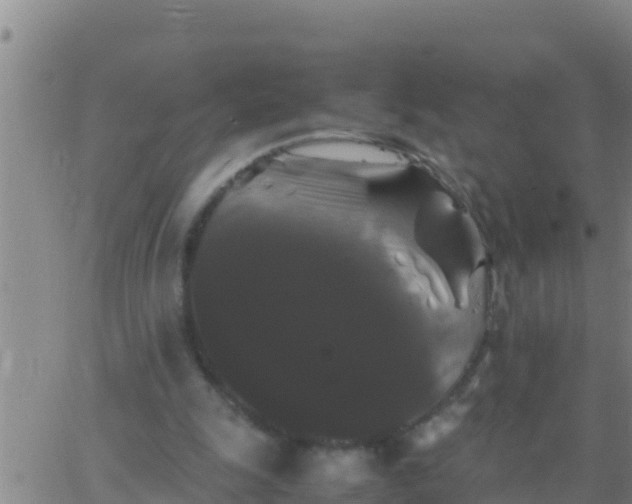 X0000062830247200601271958