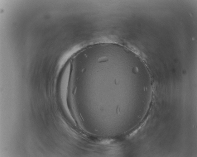 X0000062830248200601271958