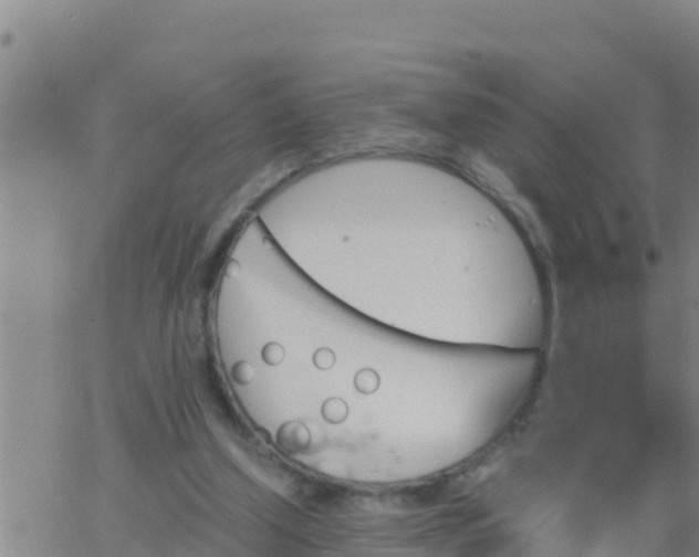 X0000062830250200601271958