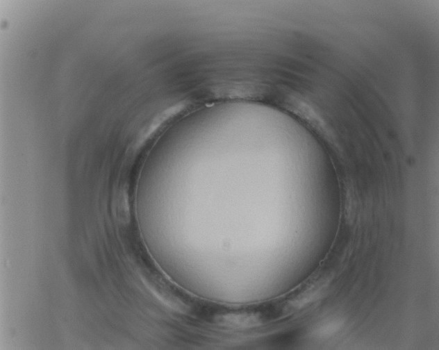 X0000062830251200601271958