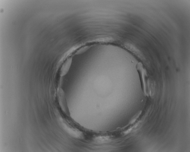 X0000062830252200601271958