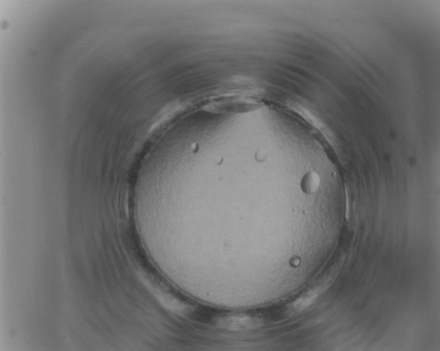 X0000062830253200601271958