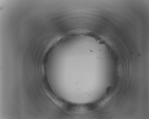 X0000062830254200601271958