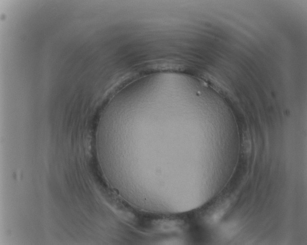 X0000062830255200601271958