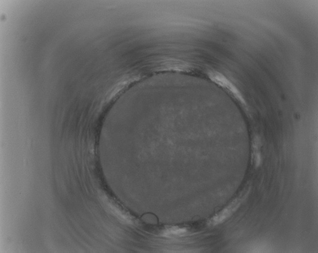 X0000062830257200601271958