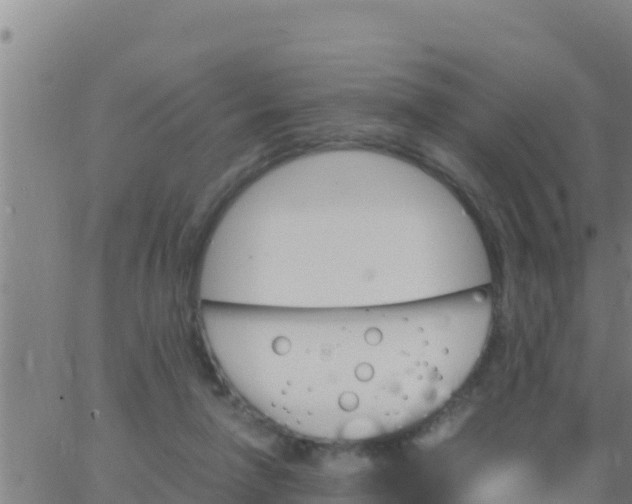 X0000062830258200601271958