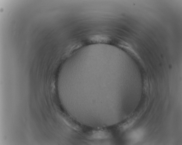 X0000062830259200601271958