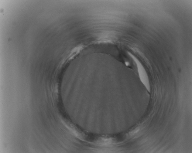 X0000062830260200601271958