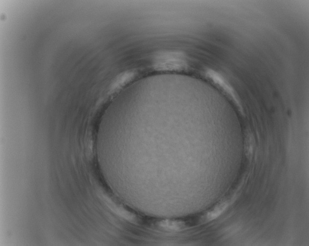 X0000062830261200601271958