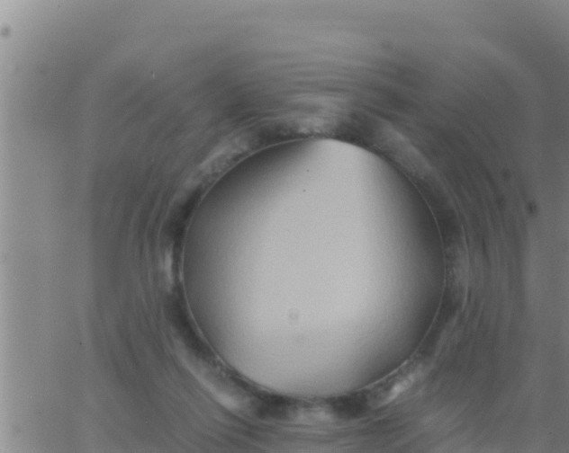 X0000062830262200601271958