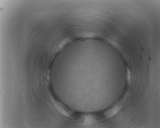 X0000062830264200601271958