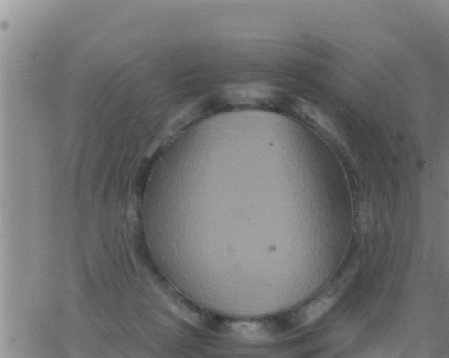 X0000062830265200601271958