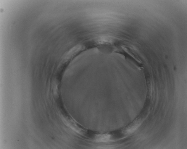 X0000062830266200601271958