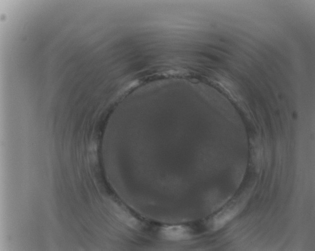 X0000062830269200601271958