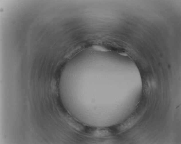 X0000062830270200601271958