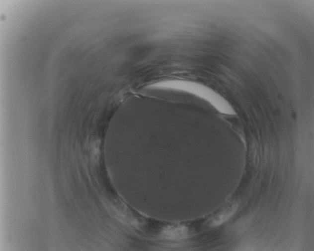 X0000062830271200601271958