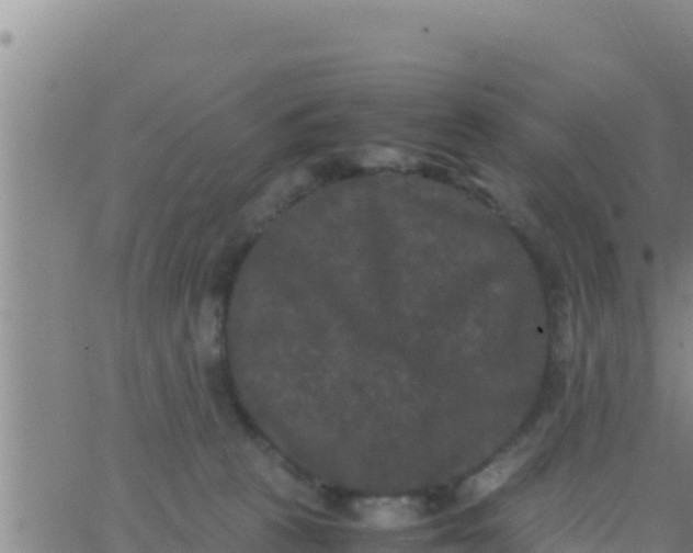 X0000062830273200601271958