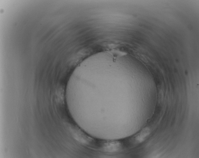 X0000062830274200601271958