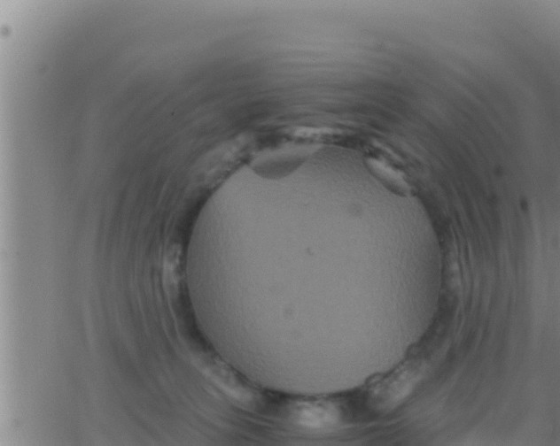 X0000062830275200601271958