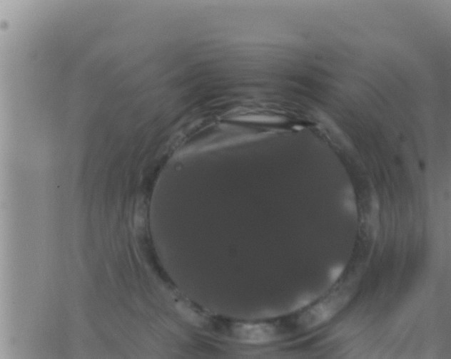 X0000062830277200601271959