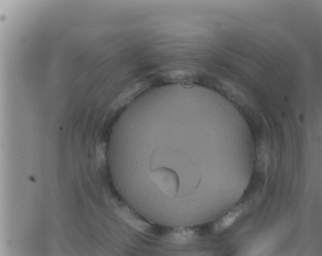 X0000062830278200601271959