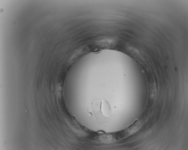 X0000062830279200601271959