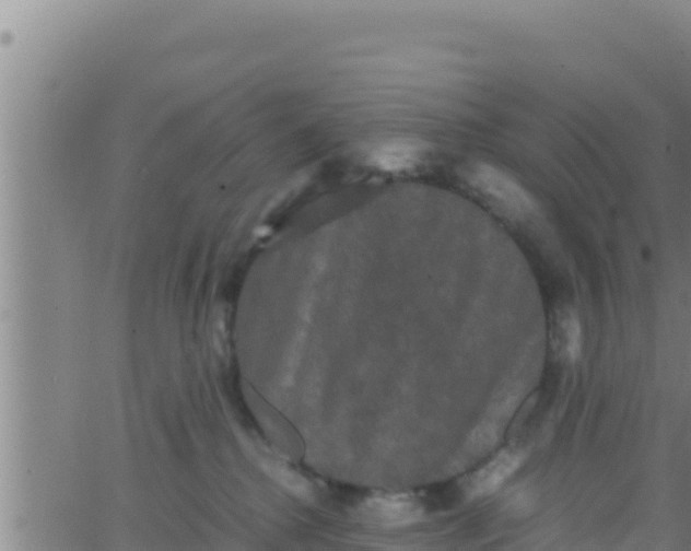 X0000062830280200601271959