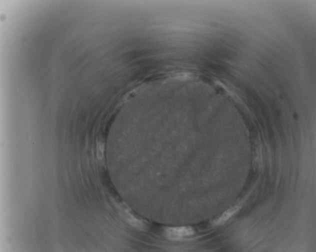 X0000062830281200601271959