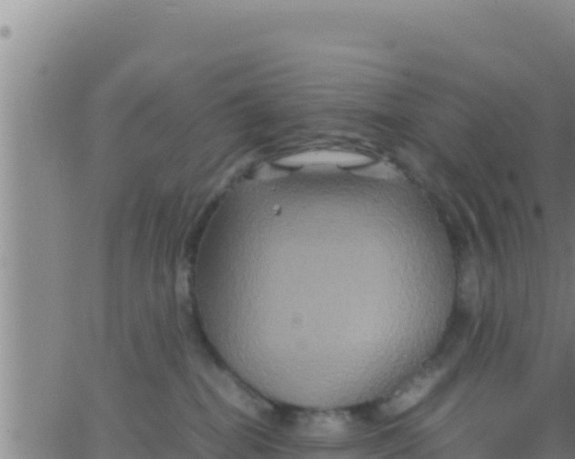 X0000062830282200601271959