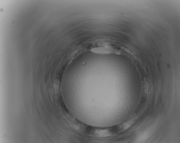 X0000062830283200601271959