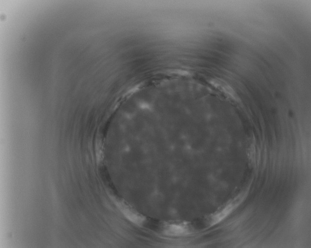 X0000062830285200601271959