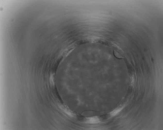 X0000062830286200601271959