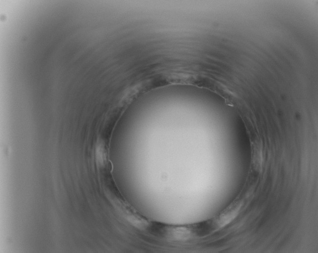 X0000062830287200601271959