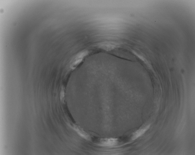 X0000062830288200601271959