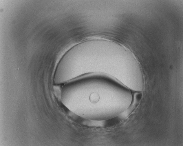 X0000062830289200601271958