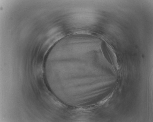 X0000062830290200601271958