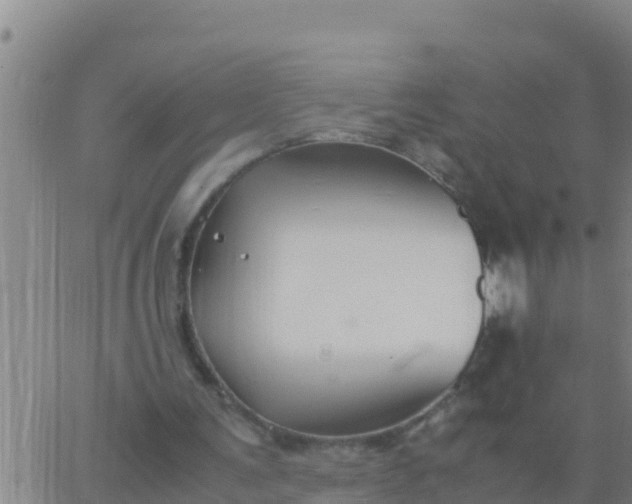 X0000062830291200601271958