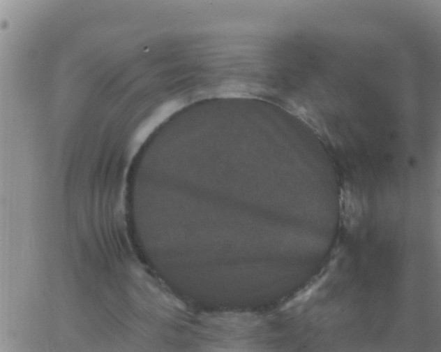 X0000062830292200601271958