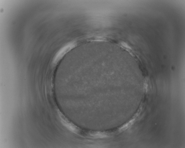 X0000062830293200601271958