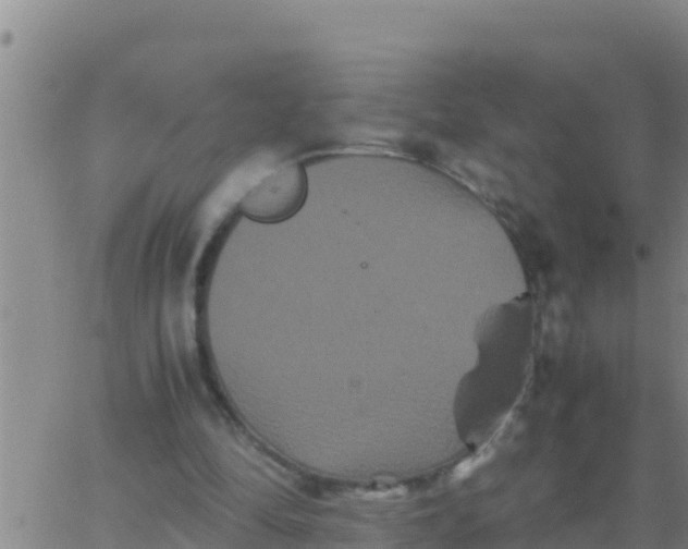 X0000062830294200601271958