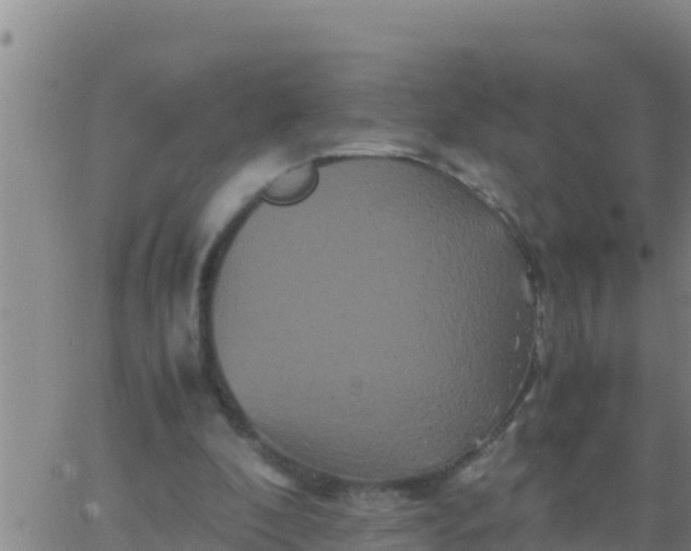 X0000062830296200601271958