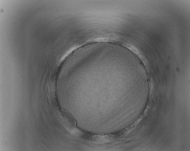 X0000062830297200601271958