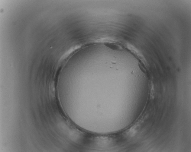 X0000062830298200601271958