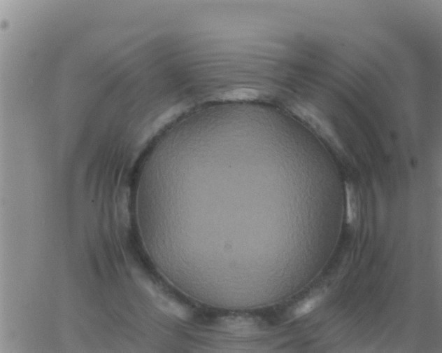 X0000062830300200601271958