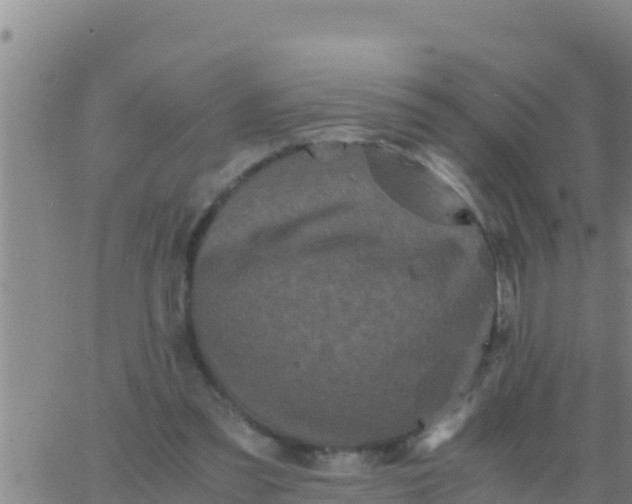 X0000062830301200601271958