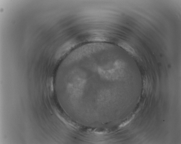 X0000062830302200601271958