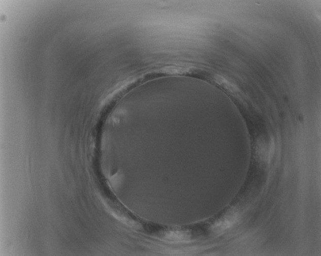 X0000062830303200601271958